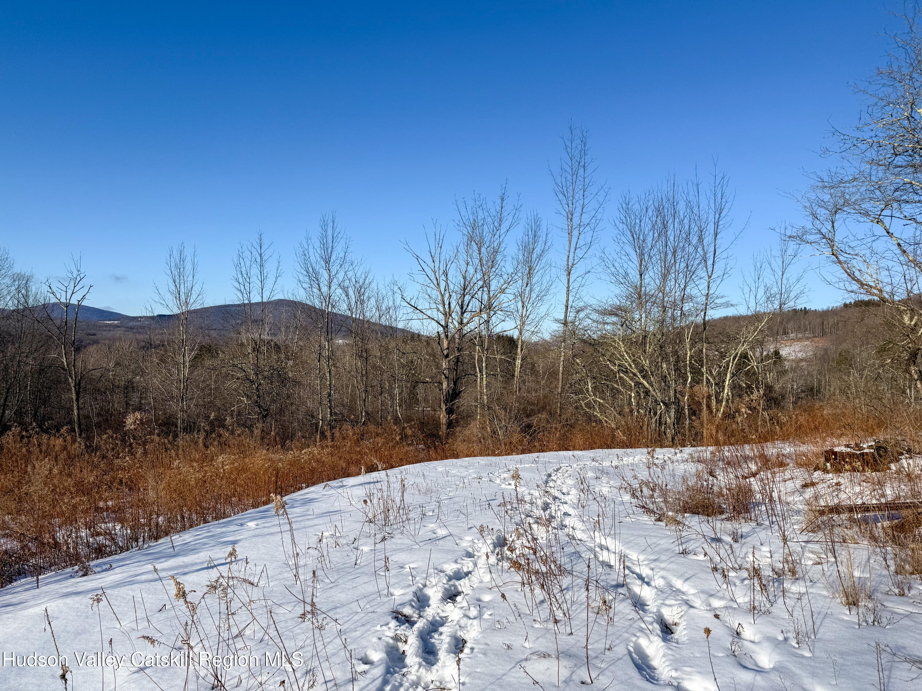 480 Hall Road Roxbury, NY 12421 - Photo 22 of 24 a view of a backyard of snow and trees