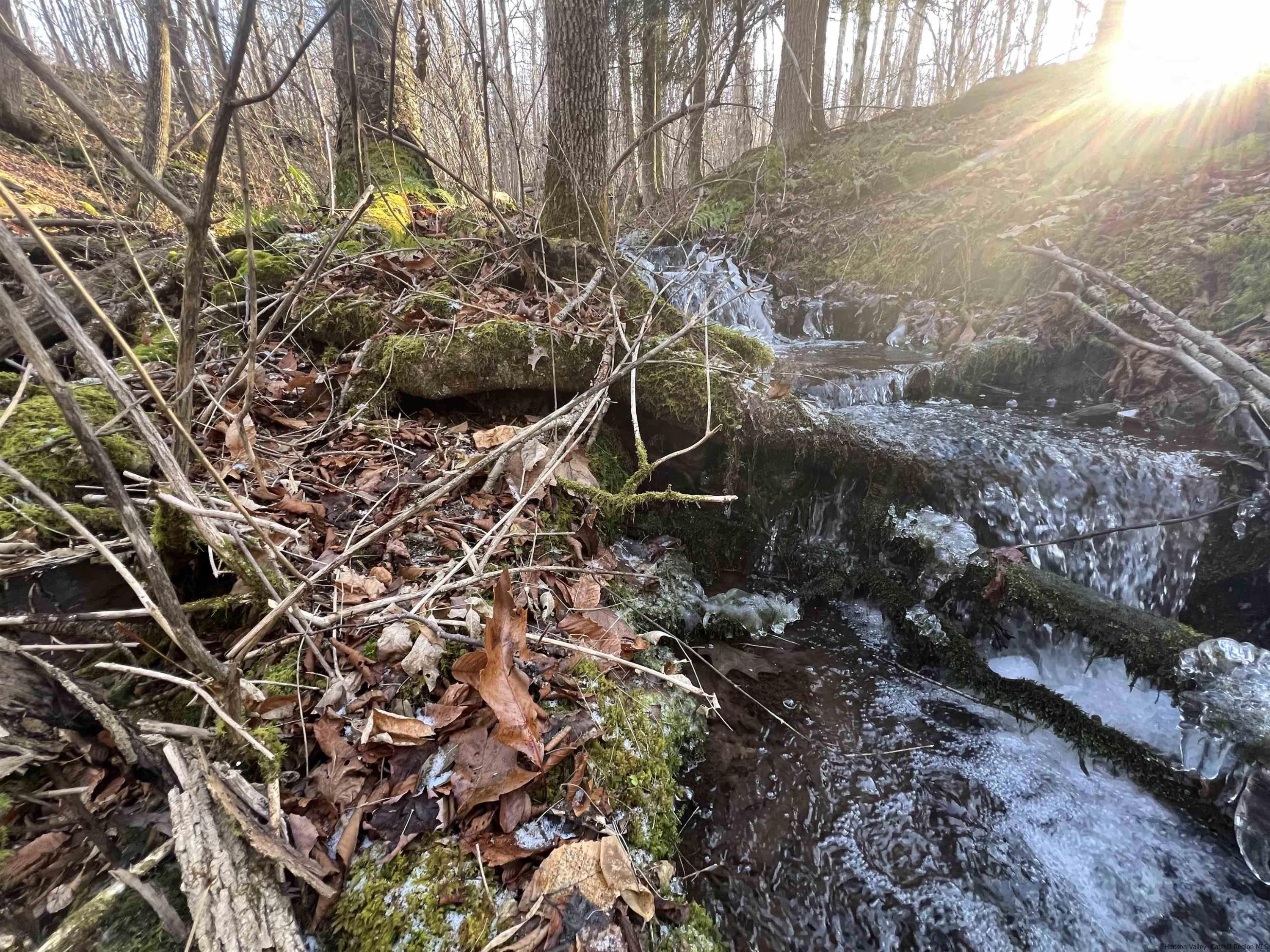 480 Hall Road Roxbury, NY 12421 - Photo 3 of 24 a backyard of a house