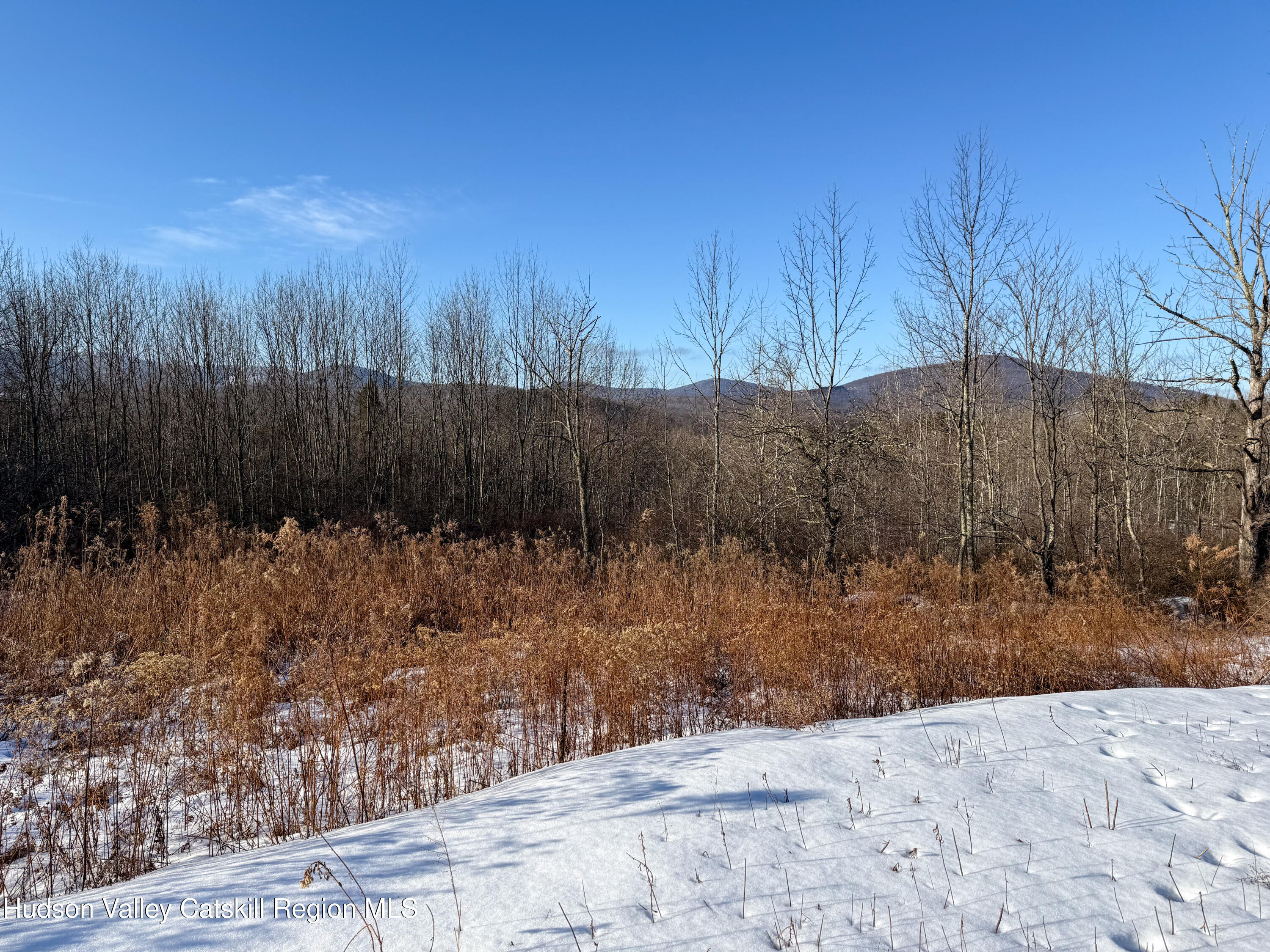 480 Hall Road Roxbury, NY 12421 - Photo 4 of 24 a view of backyard with wooden fence