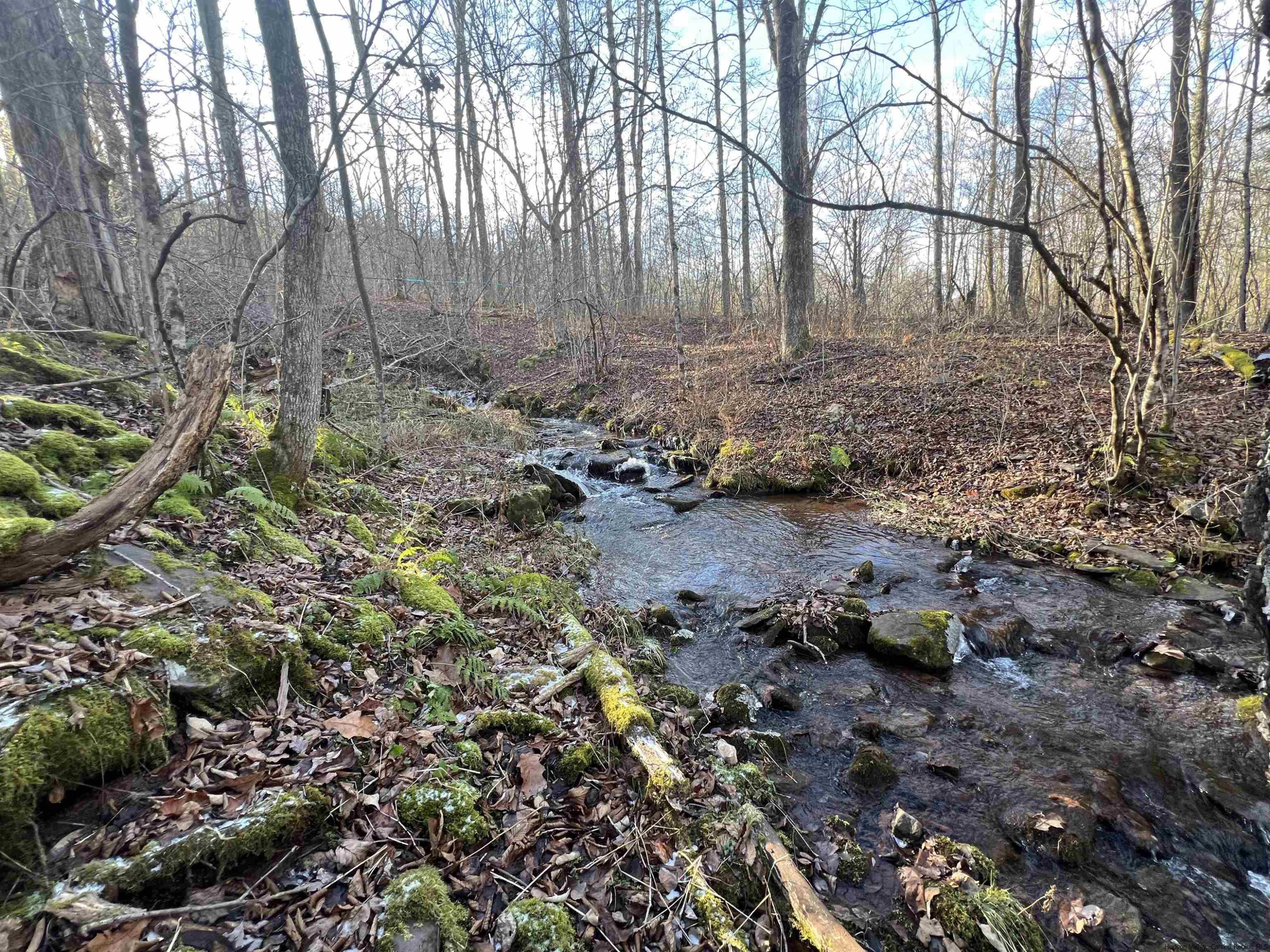 480 Hall Road Roxbury, NY 12421 - Photo 8 of 24 a view of outdoor space area with trees
