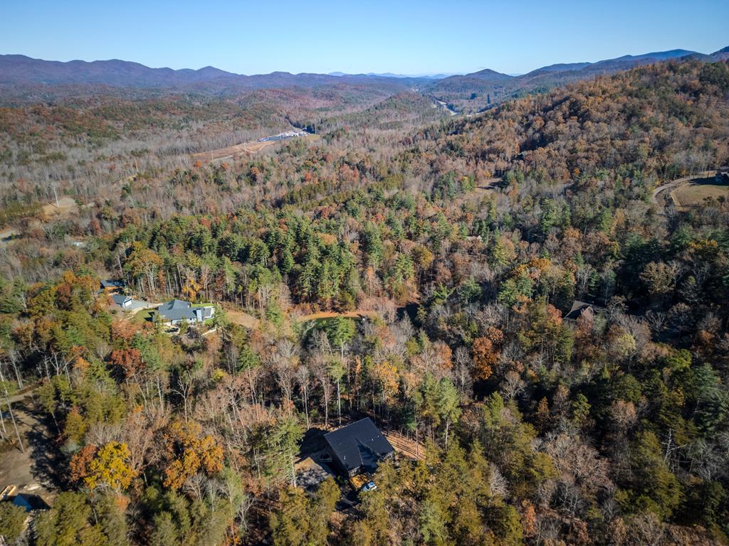 1713 Old Northcutt Road Ellijay, GA 30536 - Photo 40 of 45 a view of a mountain range with lush green forest