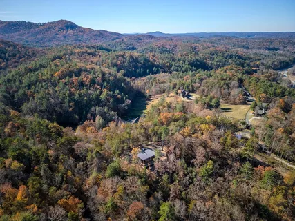 an aerial view of mountain and tree