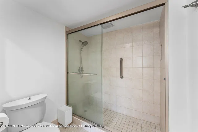 a bathroom with a shower and a toilet