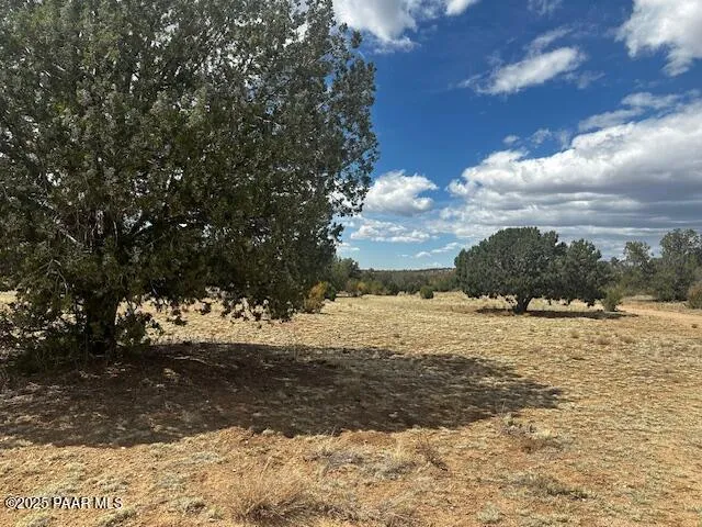 a view of ocean view with large trees