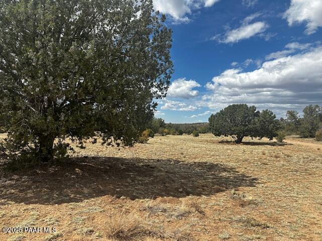 a view of ocean view with large trees