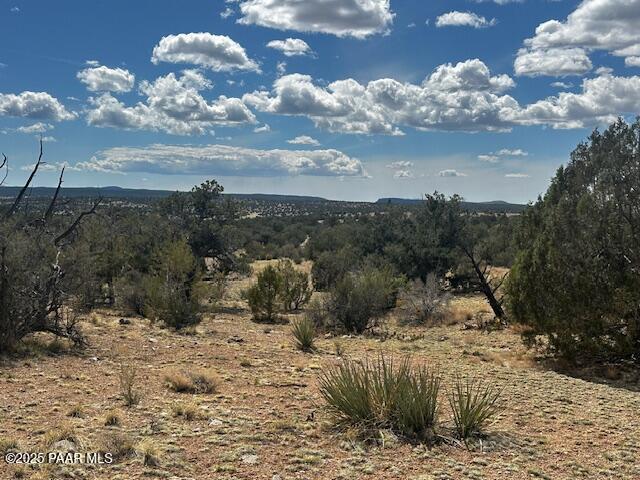 0 Antler Trail Seligman, AZ 86337 - Photo 11 of 15 a view of a yard