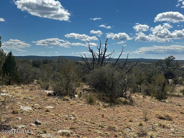 0 Antler Trail Seligman, AZ 86337 - Photo 12 of 15 a view of a house with a yard