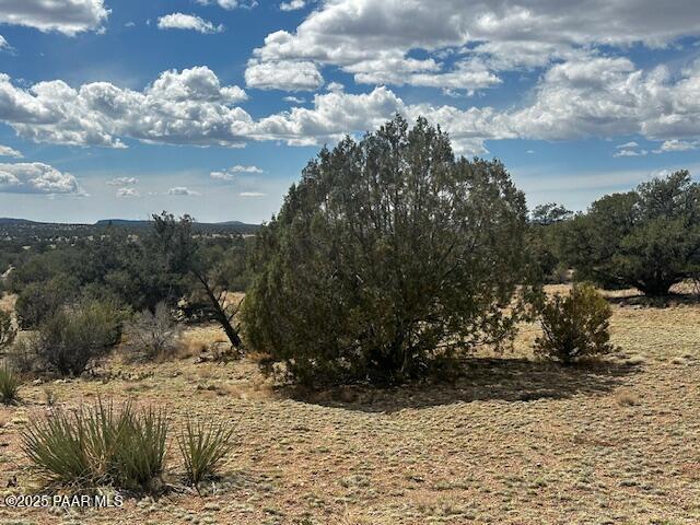0 Antler Trail Seligman, AZ 86337 - Photo 13 of 15 a view of a yard with wooden fence