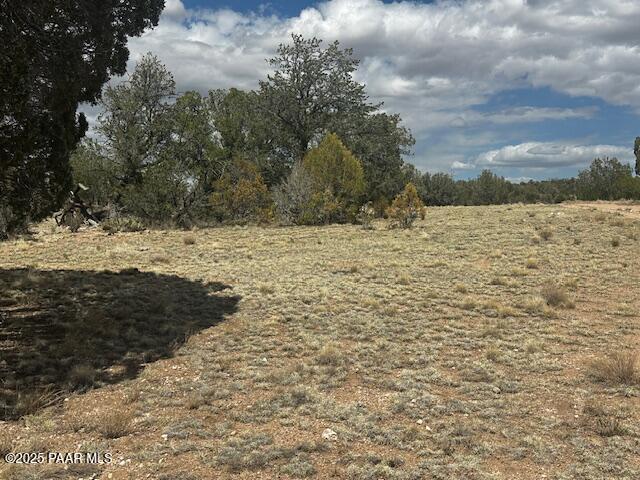 0 Antler Trail Seligman, AZ 86337 - Photo 3 of 15 a view of ocean view with large trees