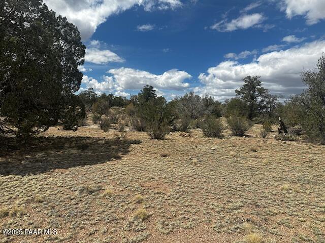 0 Antler Trail Seligman, AZ 86337 - Photo 6 of 15 a view of a yard