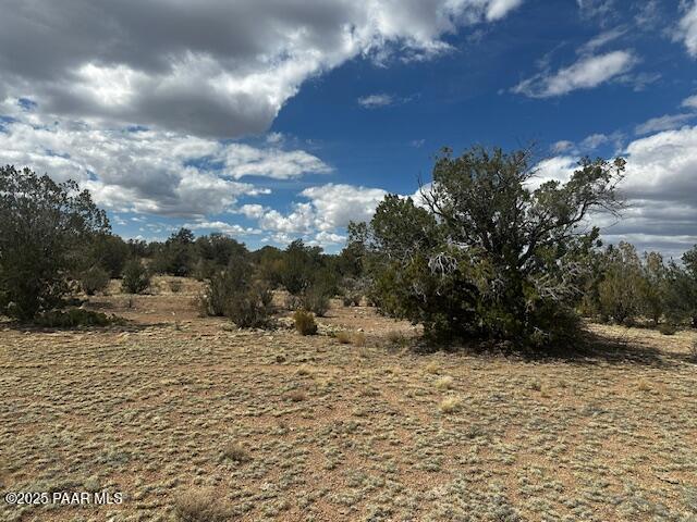 0 Antler Trail Seligman, AZ 86337 - Photo 7 of 15 a view of a yard with trees in the background