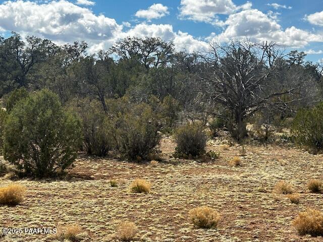 0 Antler Trail Seligman, AZ 86337 - Photo 9 of 15 a view of a yard