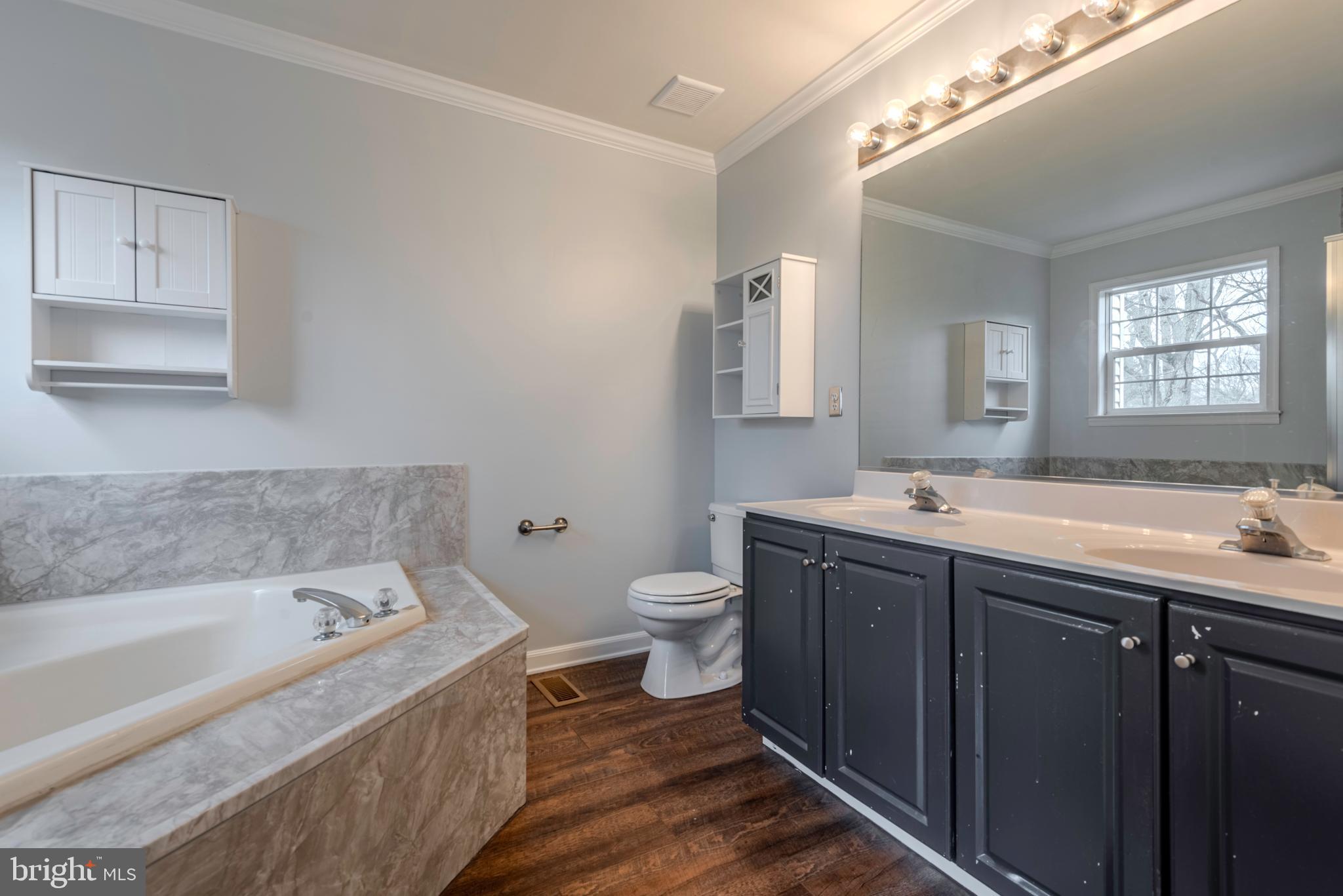 226 Wintergull Lane Annapolis, MD 21409 - Photo 22 of 38 a spacious bathroom with a granite countertop toilet a sink and a bathtub