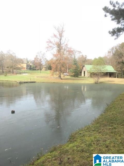 309 Carriage Lane Alabaster, AL 35007 - Photo 45 of 48