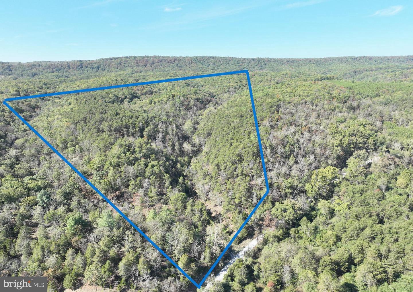 7313 Little Cacapon Road Romney, WV 26757 - Photo 2 of 18 Approximate Property Boundary Line