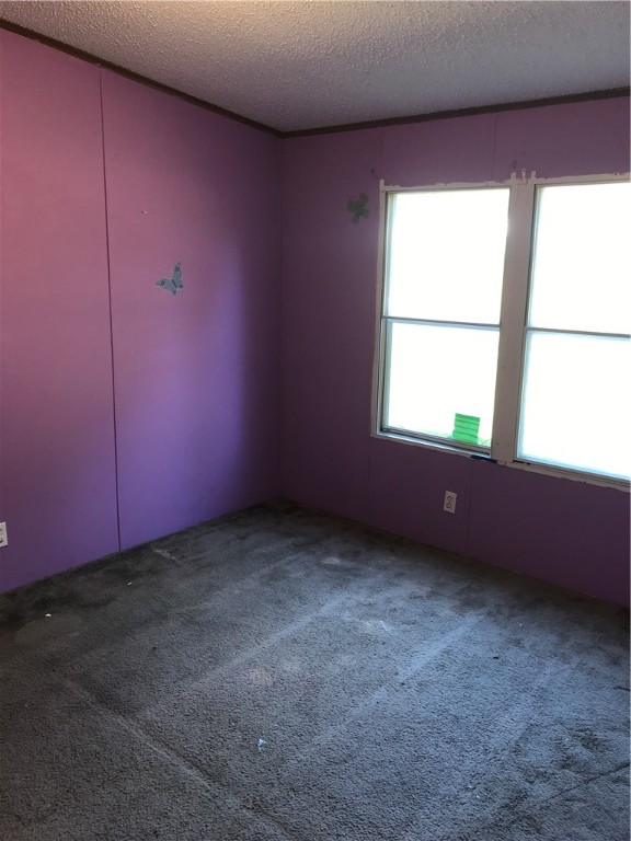 404 Campbell Road Pelzer, SC 29669 - Photo 18 of 19 Gallery Image 18