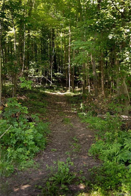 0 English Road Kingston, MI 48741 - Photo 21 of 35
