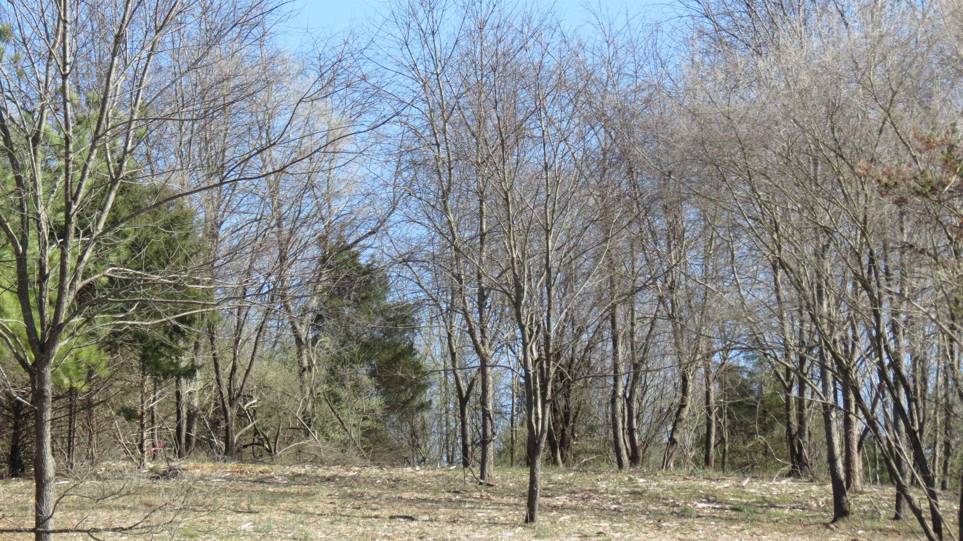 Lot 11 Berry Farm Road Staunton, VA 24401 - Photo 18 of 24 Gallery Image 18