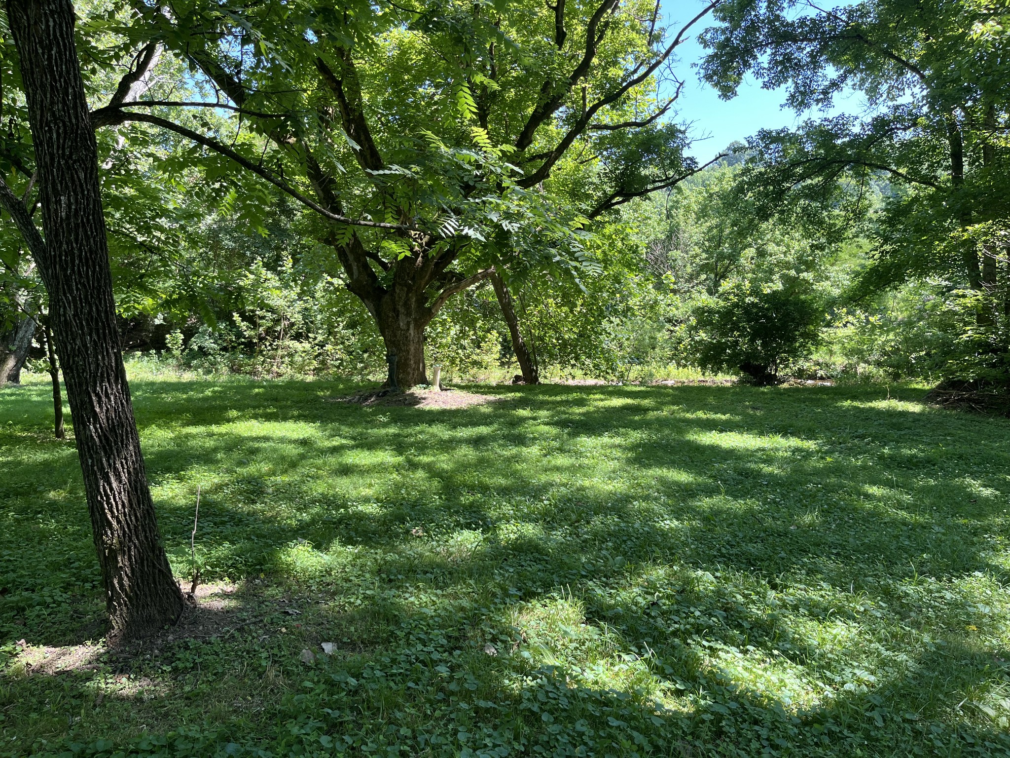 5231 Little Marrowbone Road Ashland City, TN 37015 - Photo 17 of 22 Gallery Image 17