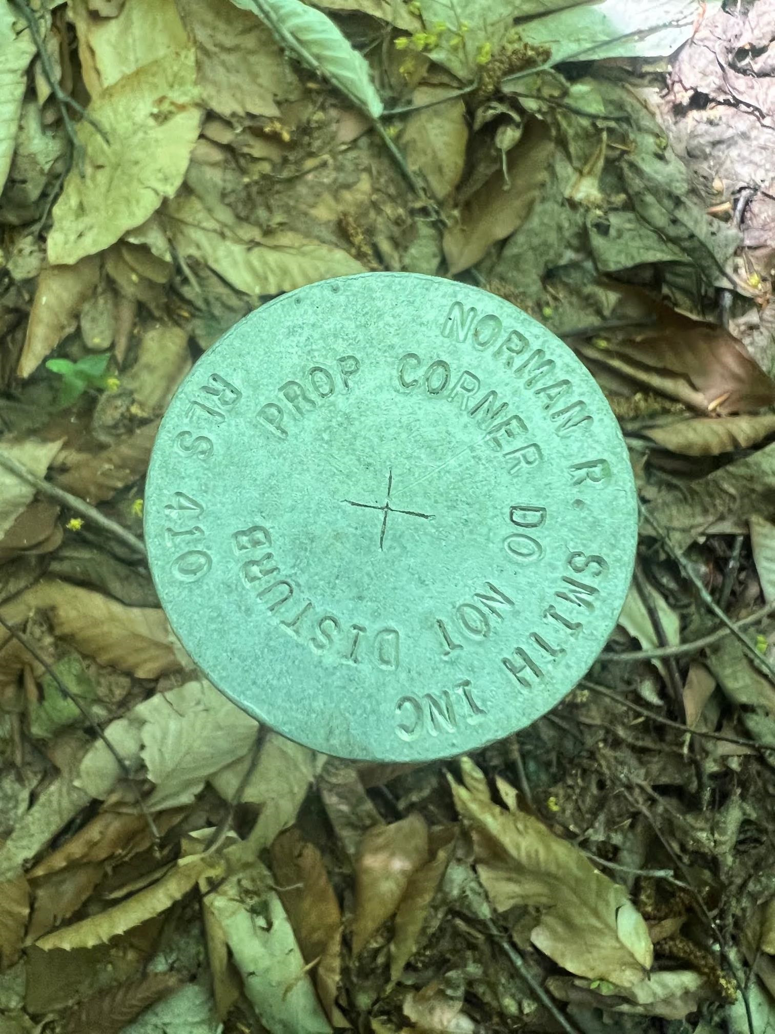 0 Albin Hill Road Randolph, VT 05060 - Photo 11 of 14