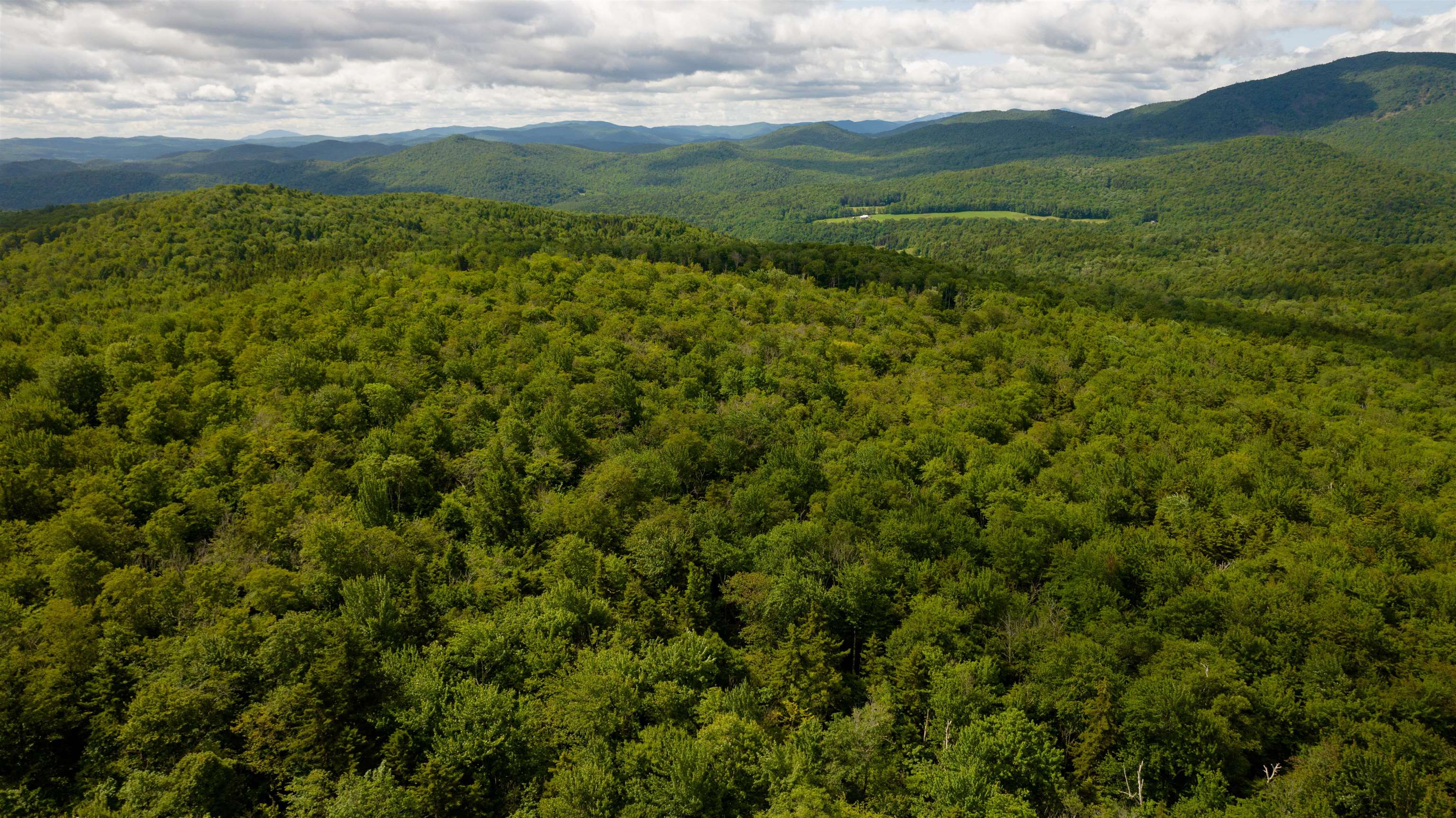 0 Albin Hill Road Randolph, VT 05060 - Photo 6 of 14