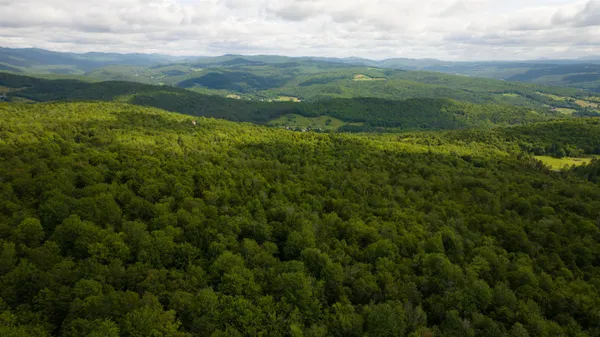 $199,000 | 0 Albin Hill Road, Randolph, VT 05060