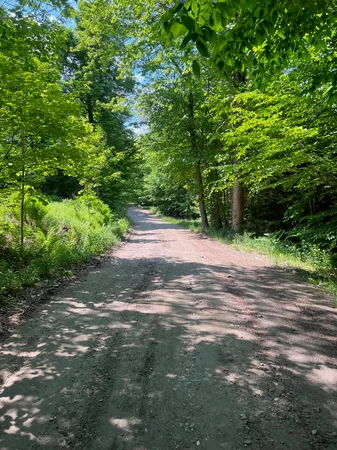 $199,000 | 0 Albin Hill Road, Randolph, VT 05060