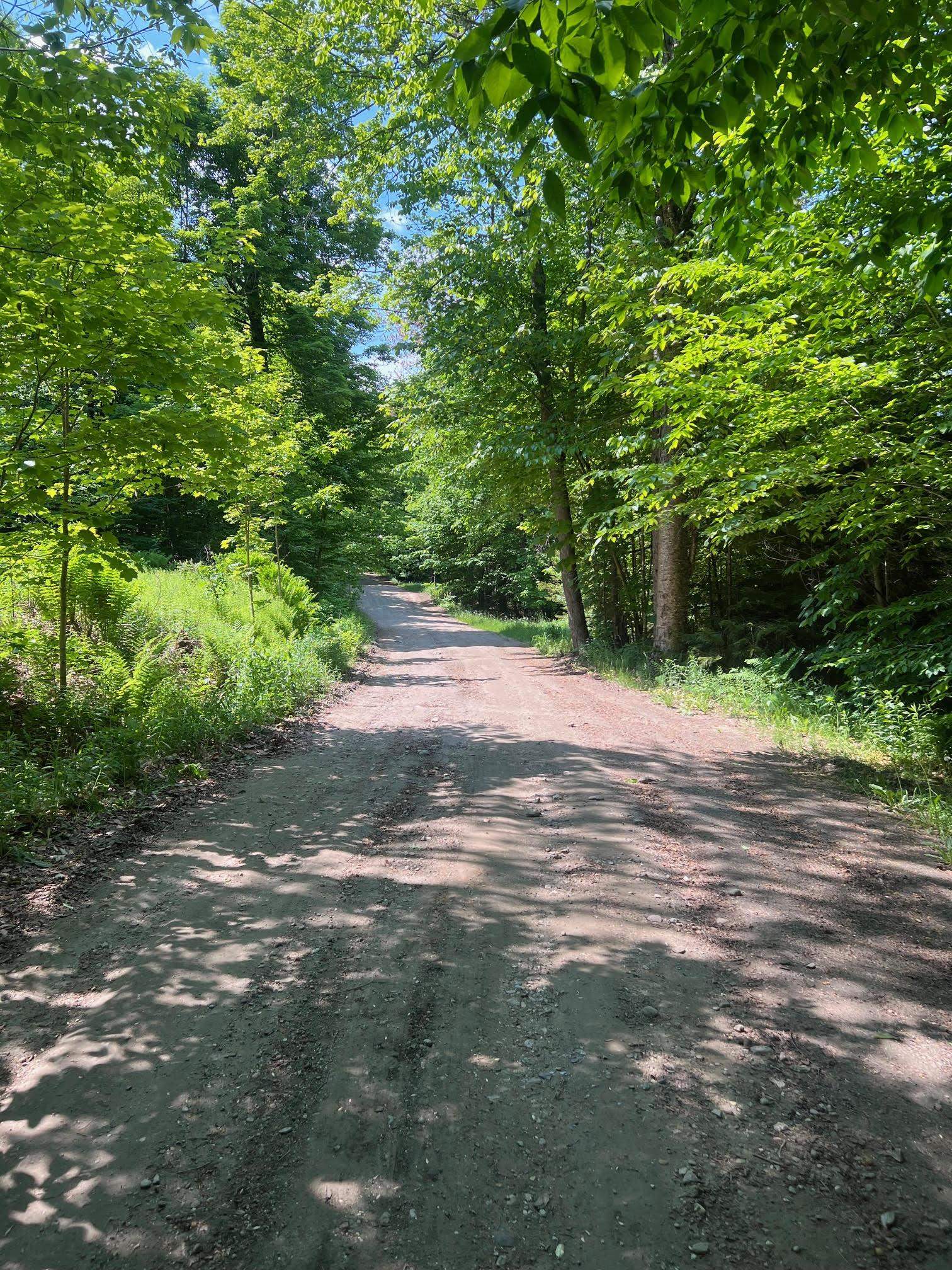 0 Albin Hill Road Randolph, VT 05060 - Photo 8 of 14