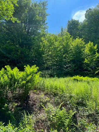 $199,000 | 0 Albin Hill Road, Randolph, VT 05060
