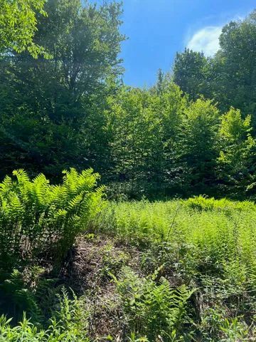 $199,000 | 0 Albin Hill Road, Randolph, VT 05060