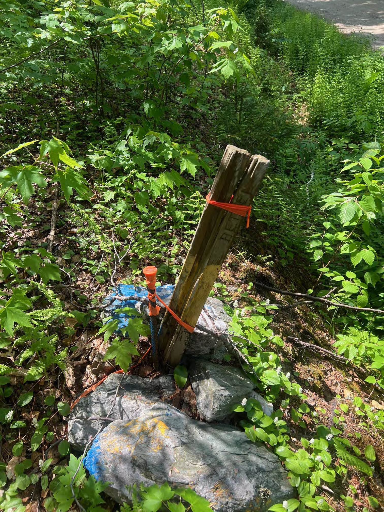 0 Albin Hill Road Randolph, VT 05060 - Photo 10 of 14