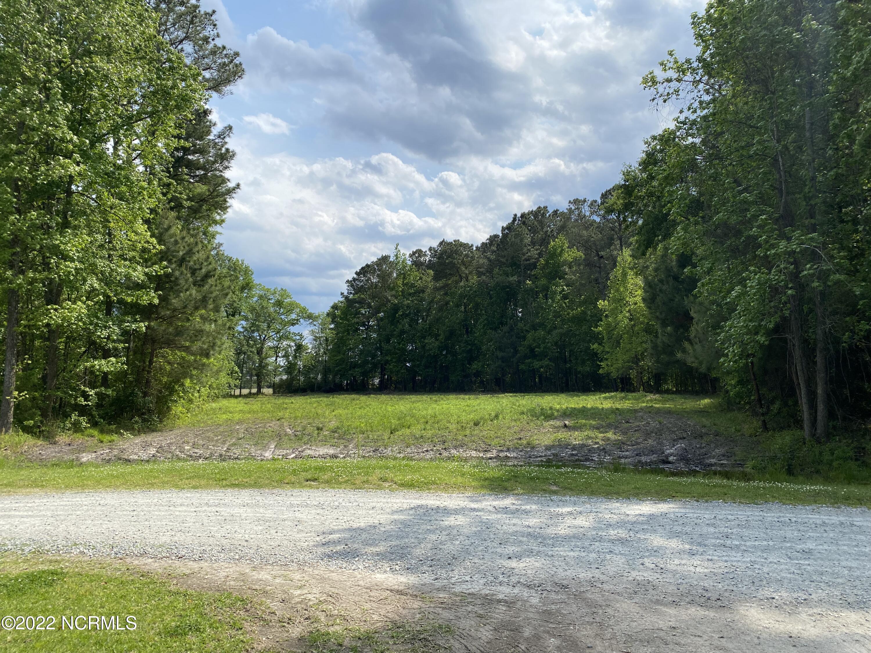 1.26-acres Quail Road Teachey, NC 28464 - Photo 1 of 8 Lot