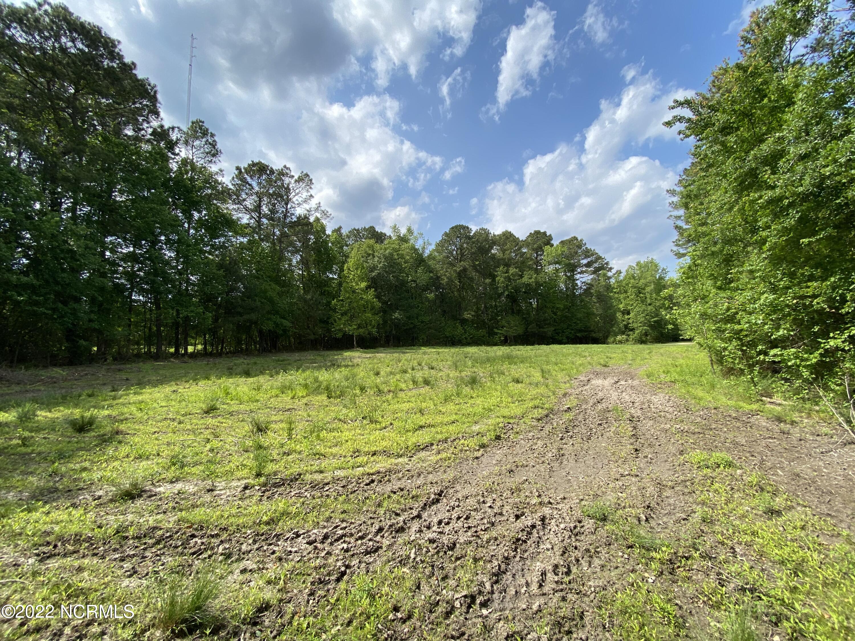 1.26-acres Quail Road Teachey, NC 28464 - Photo 8 of 8 IMG_1374