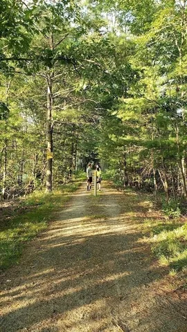 a garden view with a fountain in the background