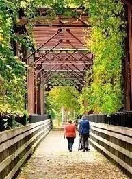 a close up of a plant in a garden