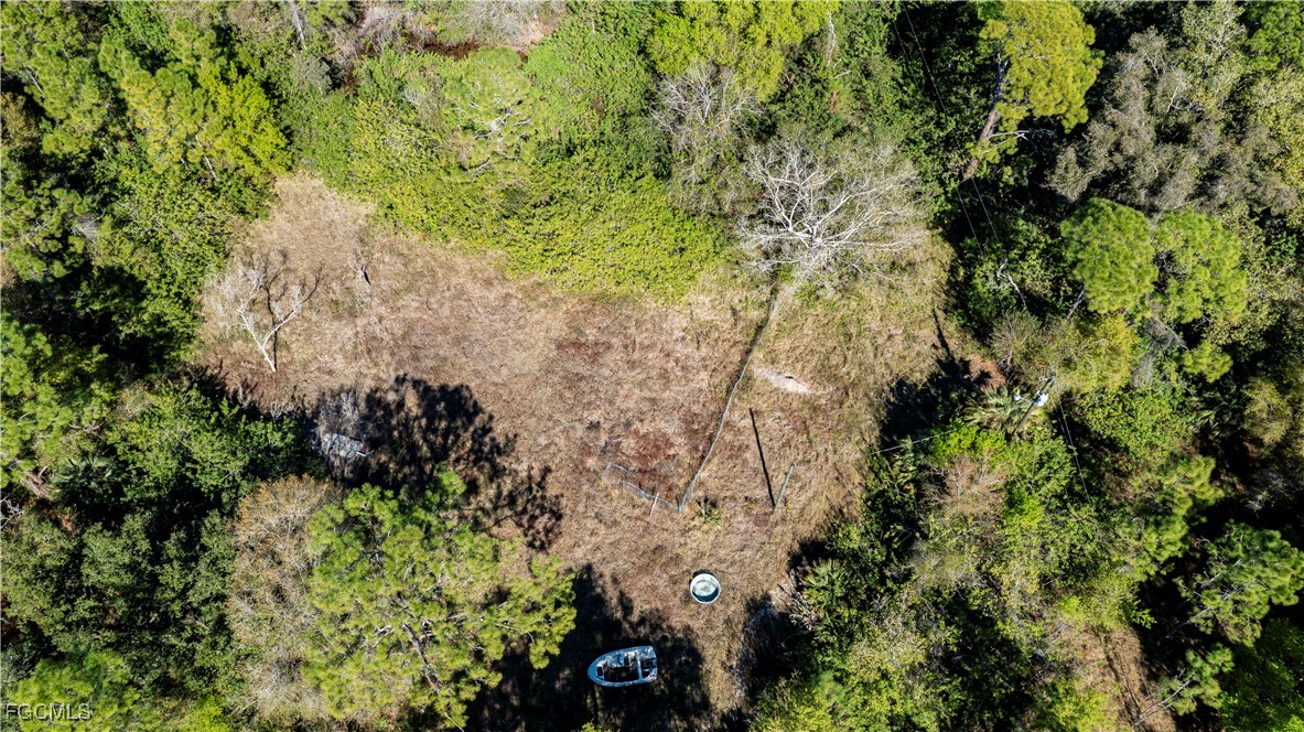 850 G Road LaBelle, FL 33935 - Photo 15 of 24 a view of a plants yard