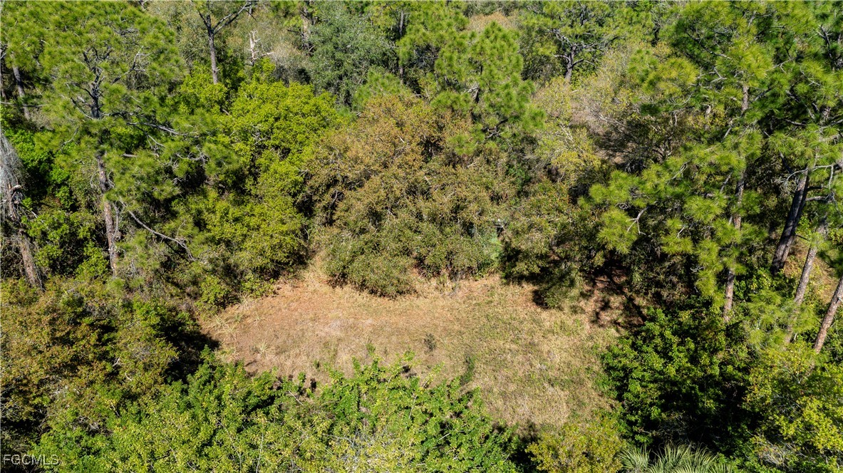 850 G Road LaBelle, FL 33935 - Photo 16 of 24 a view of a yard