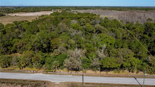 a view of a city with lush green forest