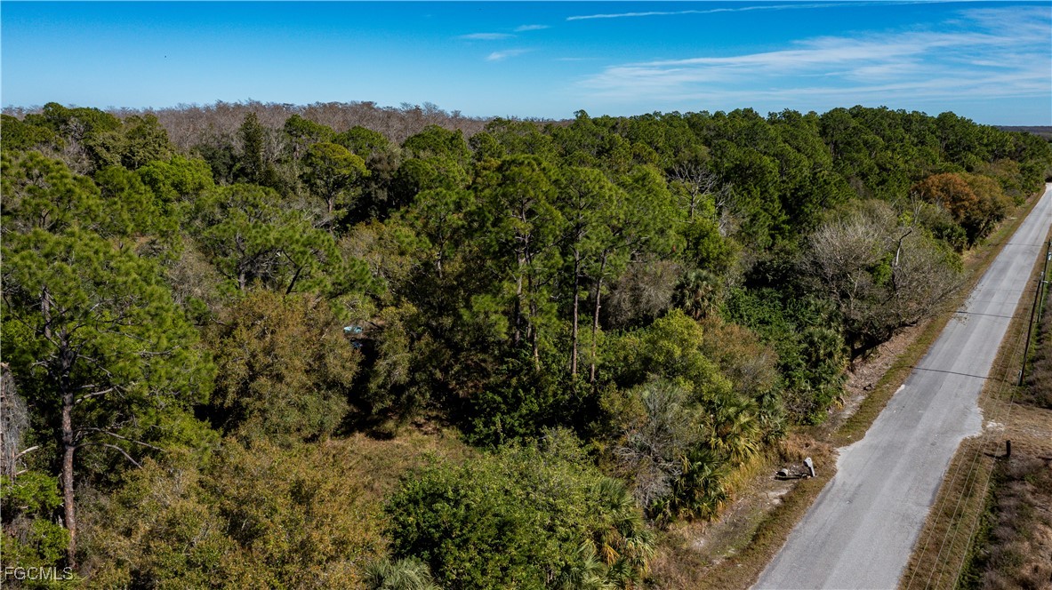 850 G Road LaBelle, FL 33935 - Photo 19 of 24 a view of a city with lush green forest