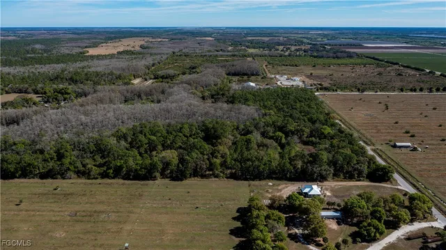 a view of a dry yard with lots of green space