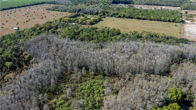 a view of a yard with an outdoor space