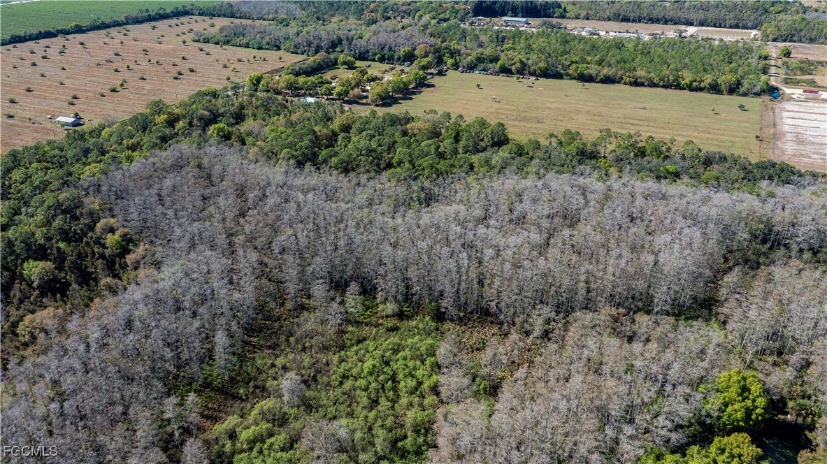 850 G Road LaBelle, FL 33935 - Photo 23 of 24 a view of a dry yard with lots of green space