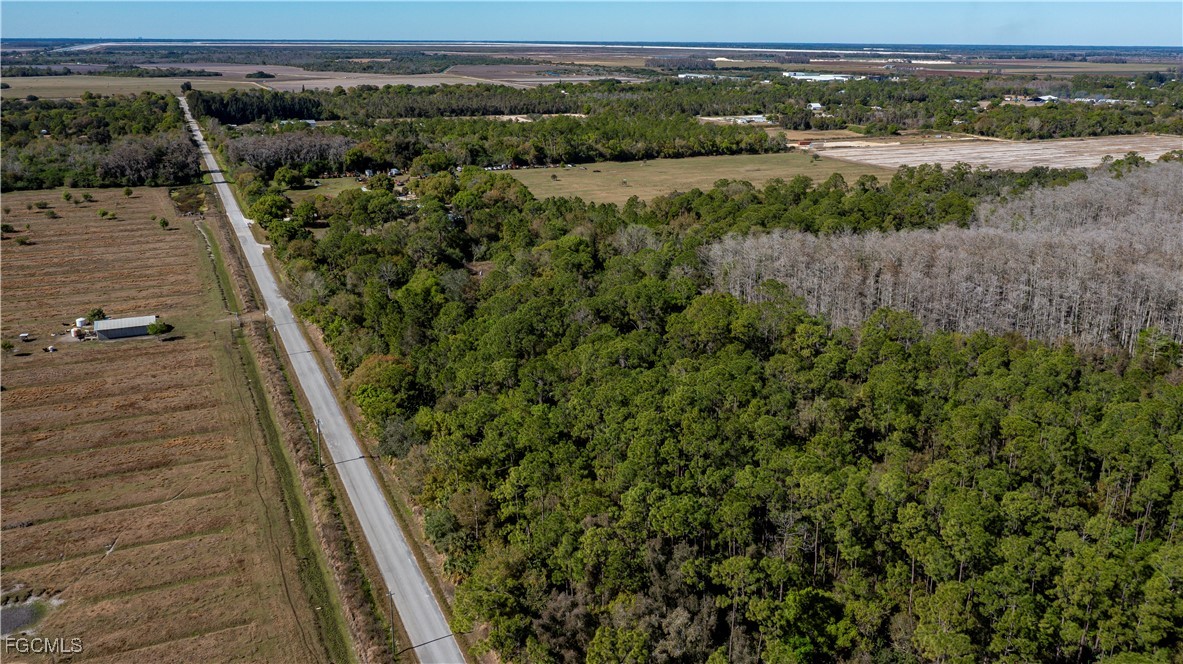 850 G Road LaBelle, FL 33935 - Photo 24 of 24 a view of a yard with an outdoor space