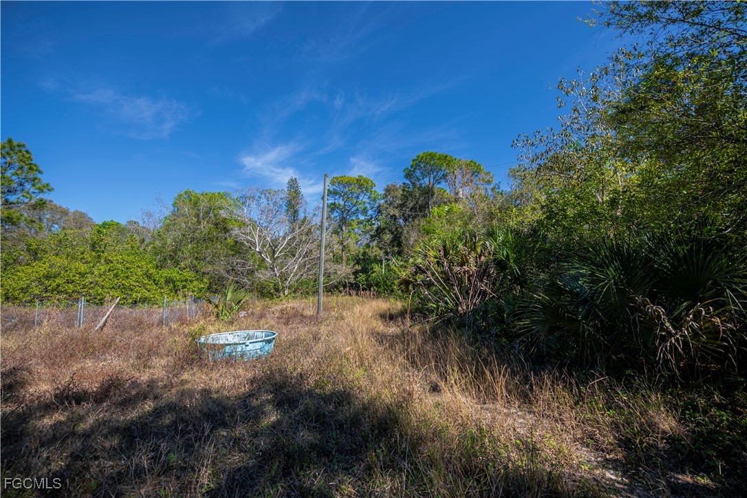 850 G Road LaBelle, FL 33935 - Photo 6 of 24 a view of a yard with plants and a tree