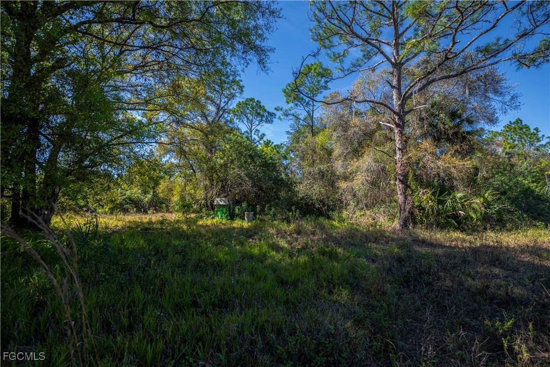 850 G Road LaBelle, FL 33935 - Photo 7 of 24 a view of a garden