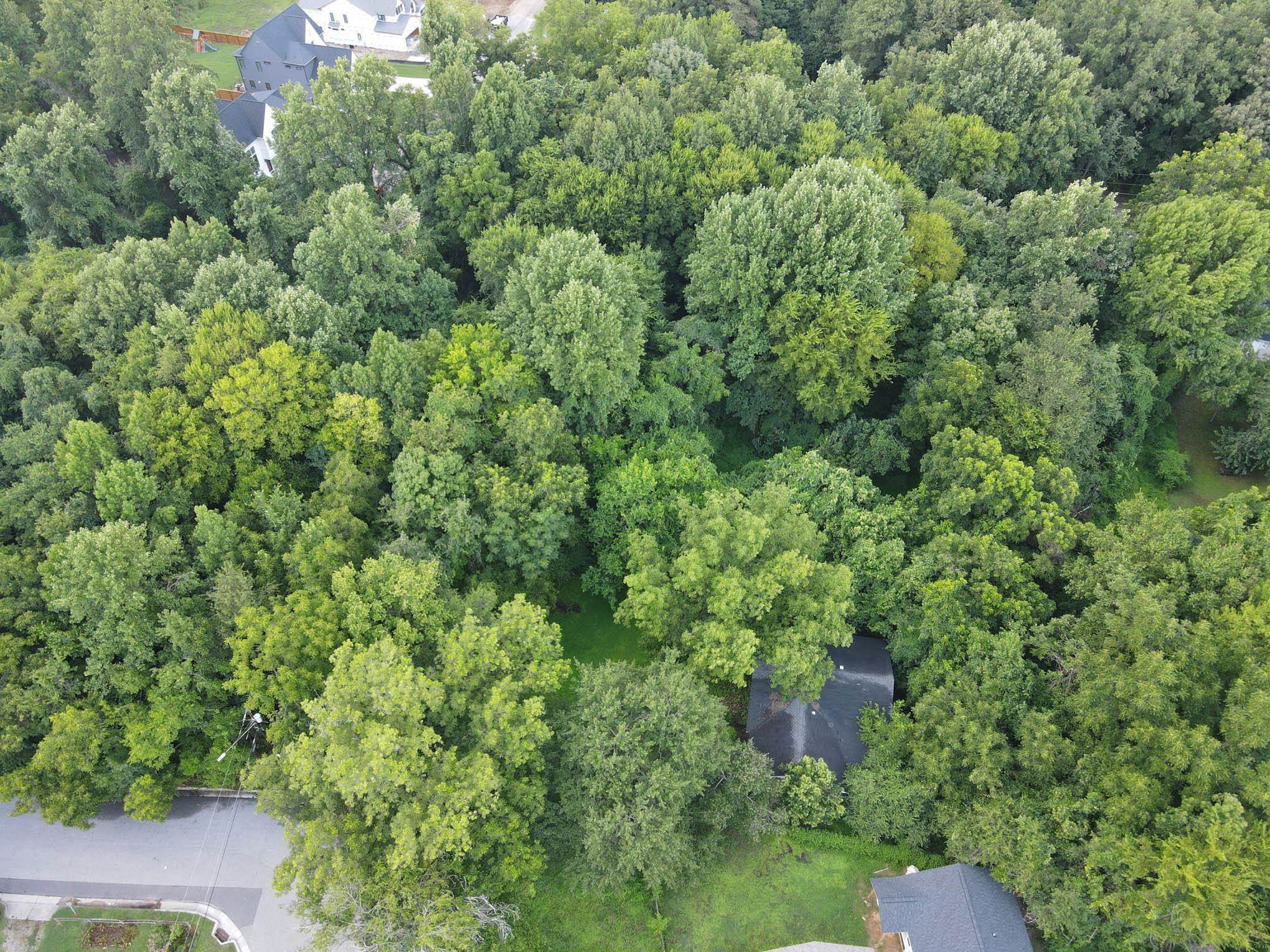 601 Okelly Street Raleigh, NC 27607 - Photo 5 of 8 Photo 5