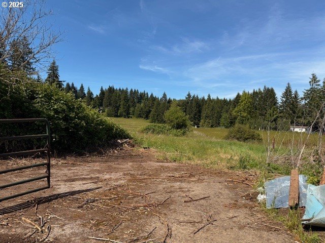 65748 Meissner Road Deer Island, OR 97054 - Photo 24 of 32