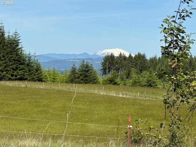 65748 Meissner Road Deer Island, OR 97054 - Photo 26 of 32