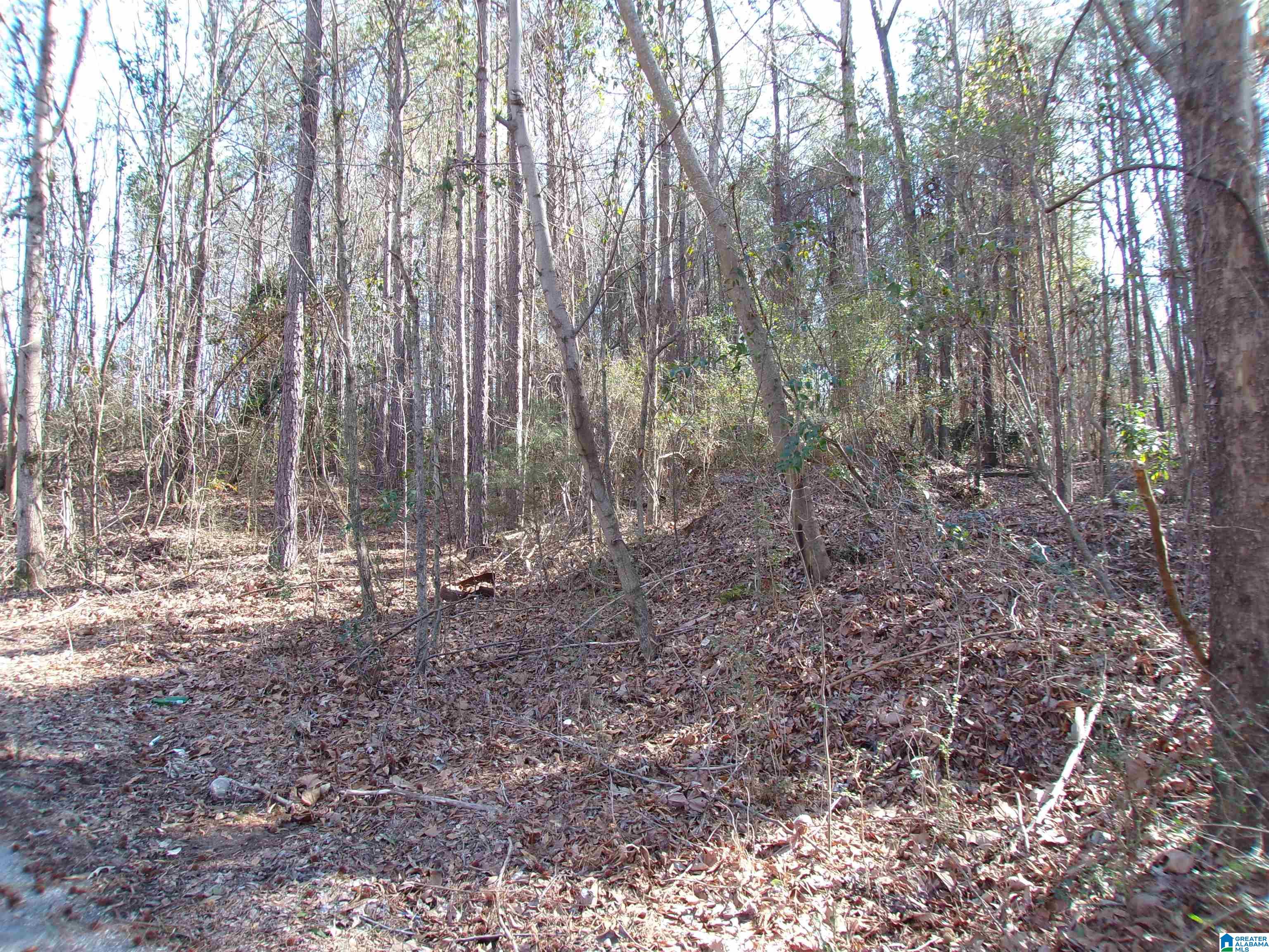0 Arthur Drive, Unit 27 Weaver, AL 36277 - Photo 8 of 15