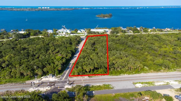 a view of a flower in a garden